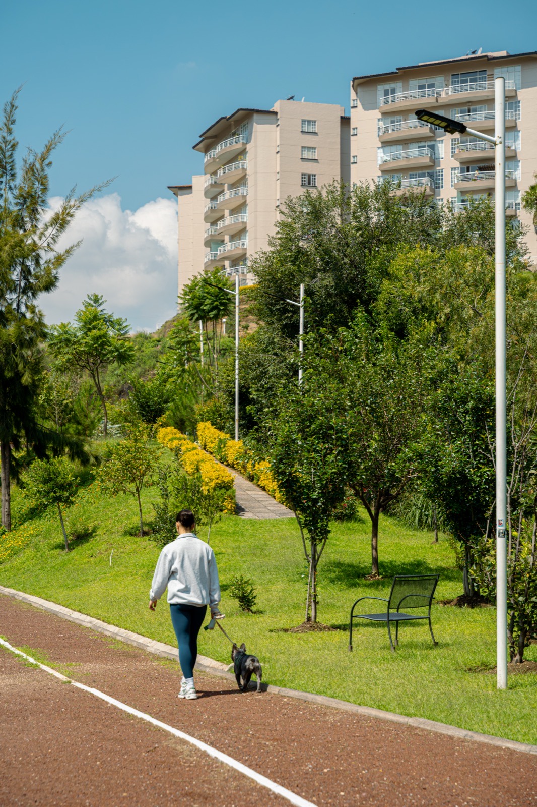 Entorno arbolado del fraccionamiento Lomas del Río